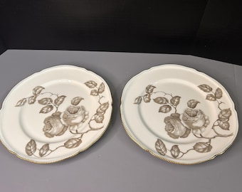 Juego de 2 platos llanos Gloria de Castleton de 25 cm (10 pulgadas)