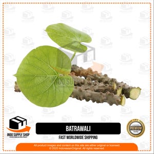 Dried Batrawali Root, Brotowali 200g, Tinospora Crispa Herb, Natural Bitter Stem, Indonesian Herbal Remedy, Organic Herbal Root