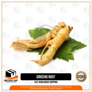 Dried Ginseng Root 200g, Natural Herbal Root, Wild Ginseng from Indonesia, Traditional Tonic Herb, Organic Adaptogen Root,Bulk Ginseng Slice