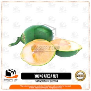 Fresh Young Betel Nut,Raw Areca Nut Fruit, Whole Green Areca,Natural Tropical Fruit, Herbal Ingredient, Bulk Betel Nuts, Fresh Harvested Nut