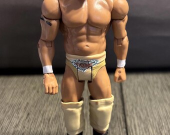 Pack de combat de figurines articulées WWE Wrestling 2011 de Darren Young, série basique ?