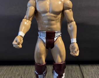 Daniel Bryon 2011 WWE Wrestling Figurine Basic Mattel