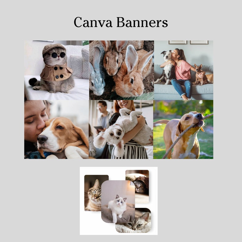 Beige pastel colors pet store, puppy breeding shopify theme customization, custom website design, have your own shop online website today image 8