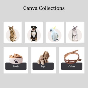 Beige pastel colors pet store, puppy breeding shopify theme customization, custom website design, have your own shop online website today image 9