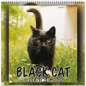 Black Cat Wall Calendar, Cute Cat Calendar 8.5 x 8.5 Inch for Cat Lovers | 2026 Edition