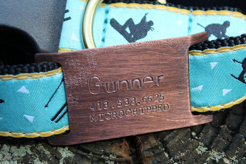 Custom Pet ID Quiet Tag Slide on Dog ID Tag Personalized Dog Etsy