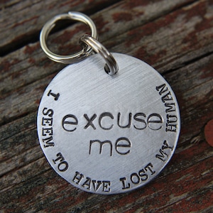 May include: Silver dog tag with the text "I seem to have lost my human excuse me" engraved on it.