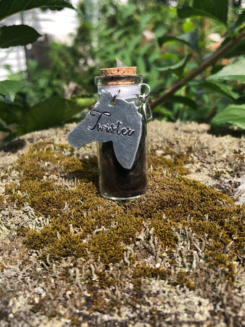 May include: A small glass bottle with a cork top filled with dark brown horse hair. A silver horse head charm with the word "Twister" engraved on it hangs from the bottle.