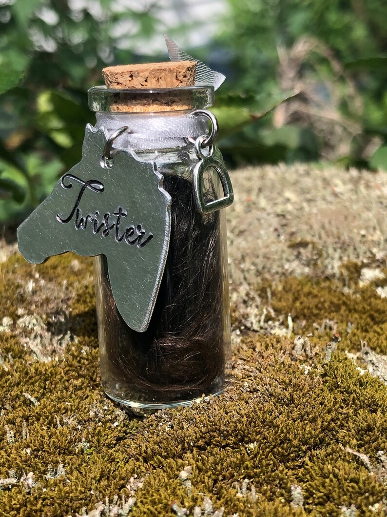 May include: A small glass jar with a cork top contains a clump of brown horse hair. A silver horse head charm with the name "Twister" is attached to the jar.