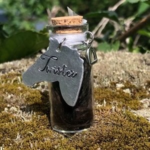 May include: A small glass bottle with a cork stopper filled with brown horse hair. The bottle has a silver horse head charm with the name "Twister" engraved on it.