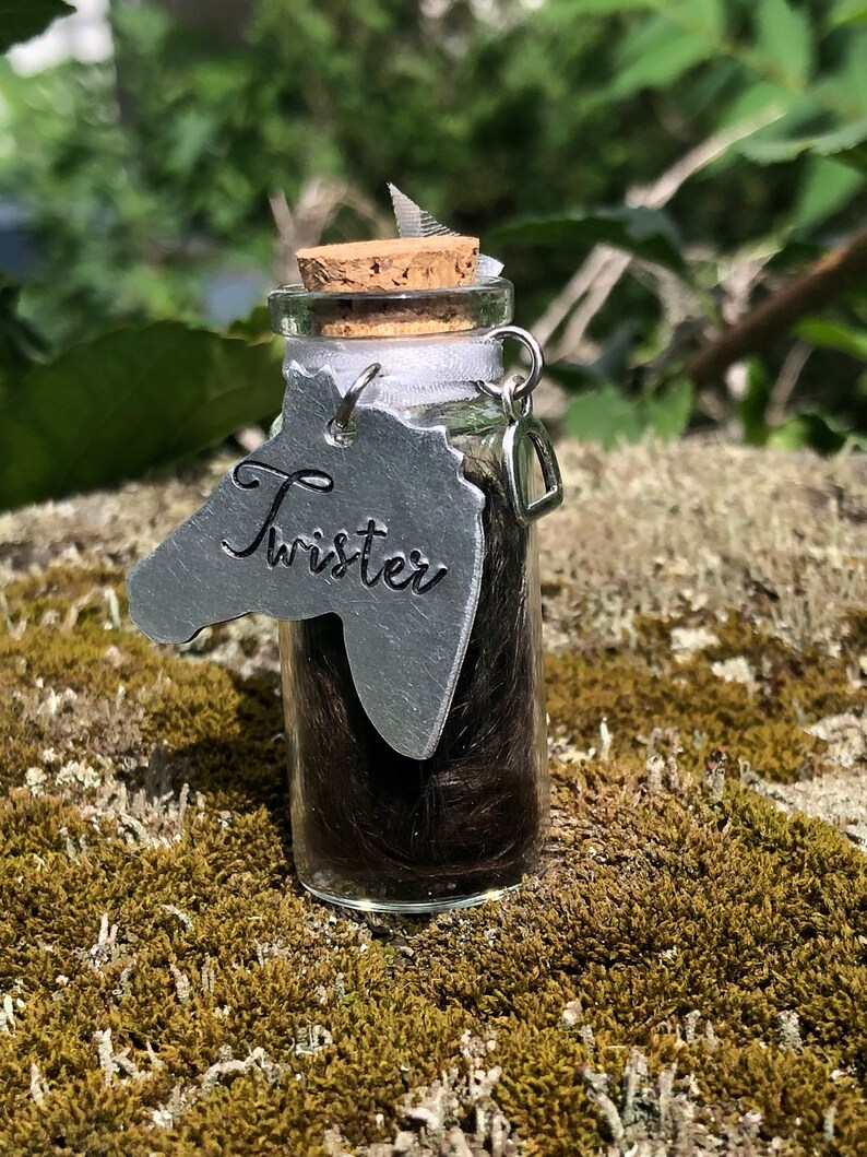 May include: A small glass bottle with a cork stopper filled with brown horse hair. The bottle has a silver horse head charm with the name "Twister" engraved on it.