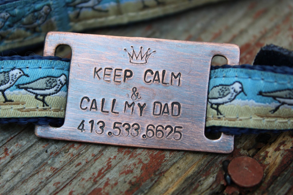 Custom Pet ID Quiet Tag Slide on Dog ID Tag Personalized Dog Etsy