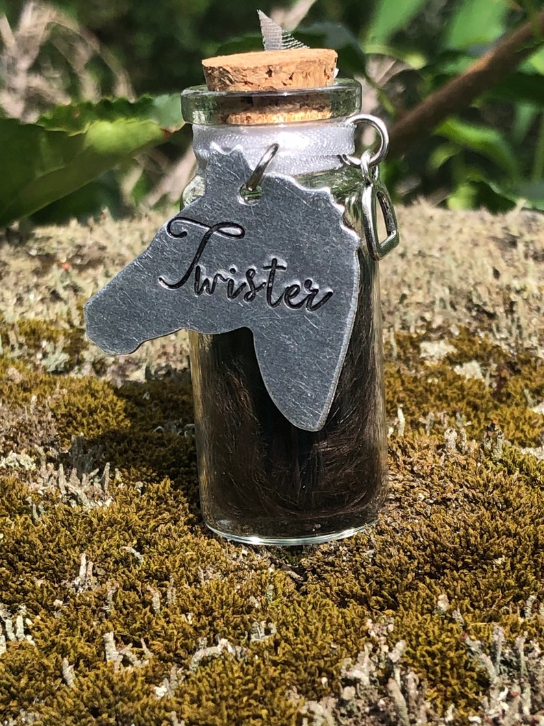 May include: A small glass bottle with a cork stopper filled with brown horse hair. A silver horse head charm with the word "Twister" engraved on it hangs from the bottle.