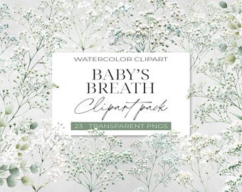 May include: A digital collection of watercolor baby's breath floral illustrations featuring white and green sprigs. The central white rectangular label displays the text: WATERCOLOR CLIPART BABY'S BREATH Clipart pack 23 TRANSPARENT PNGS.