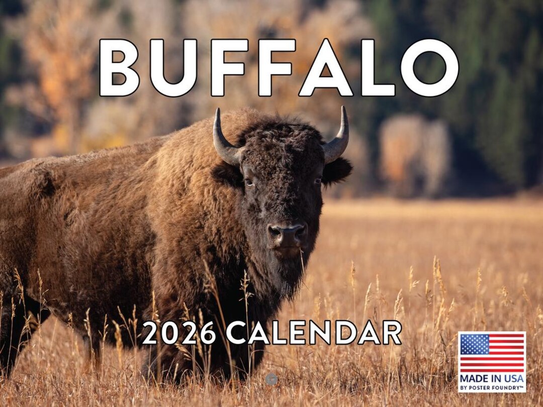 Buffalo Bison Schedule 2027