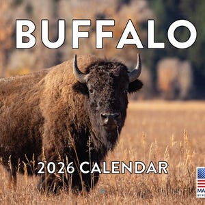 May include: A 2026 calendar featuring a majestic brown buffalo in a natural field setting. The word "BUFFALO" is displayed at the top, with "2026 CALENDAR" at the bottom. The American flag and "MADE IN USA" are in the lower right corner.