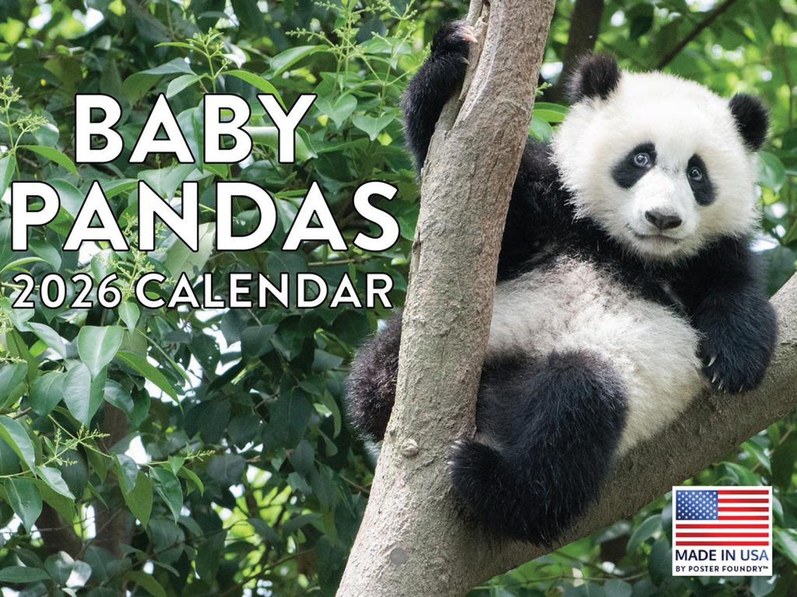 Baby Panda Calendar 2026 Monthly Wall Calender 12 Month | American Made ...