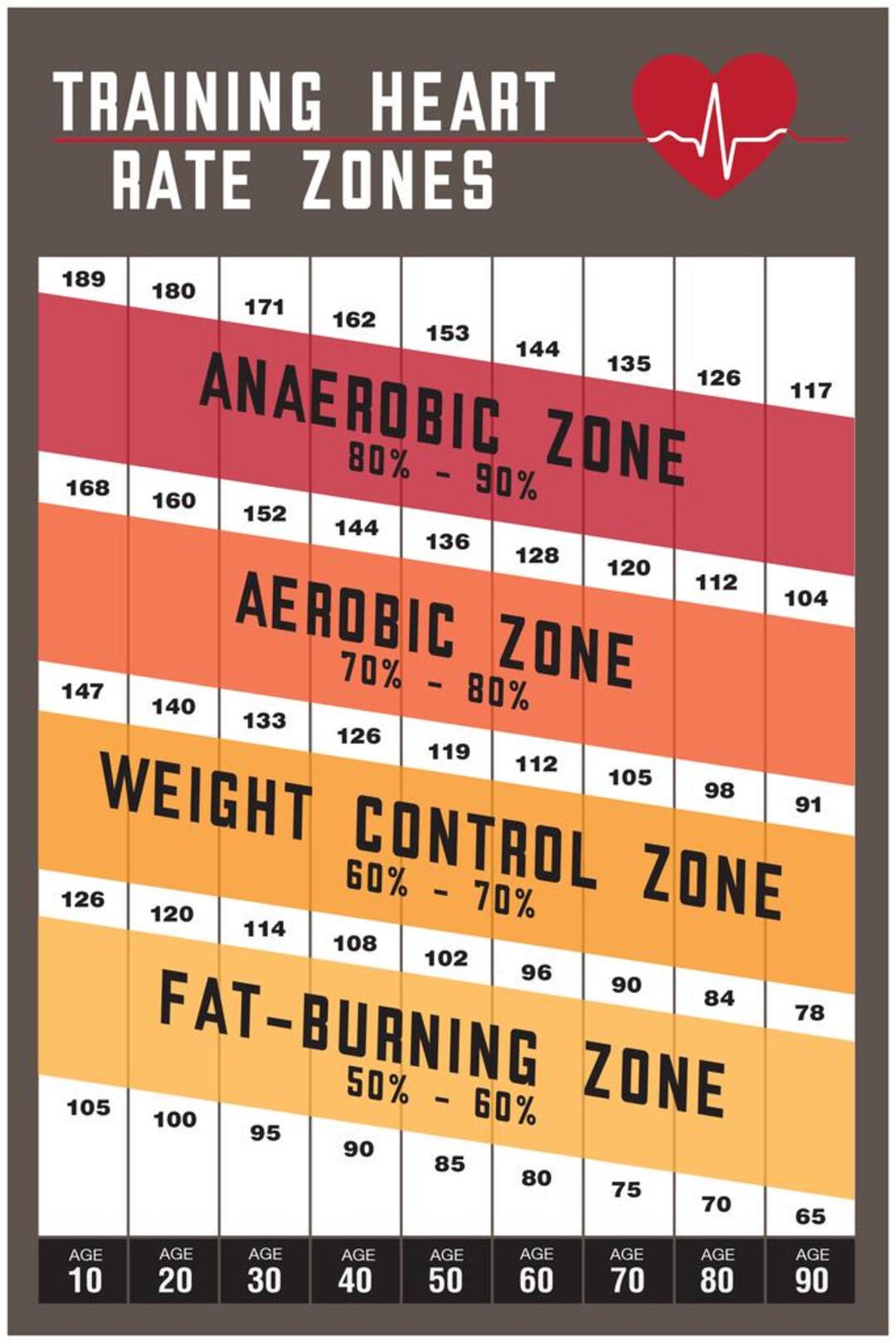 Training Heart Rate Zones Workout Gym Fitness Brown Poster - Etsy