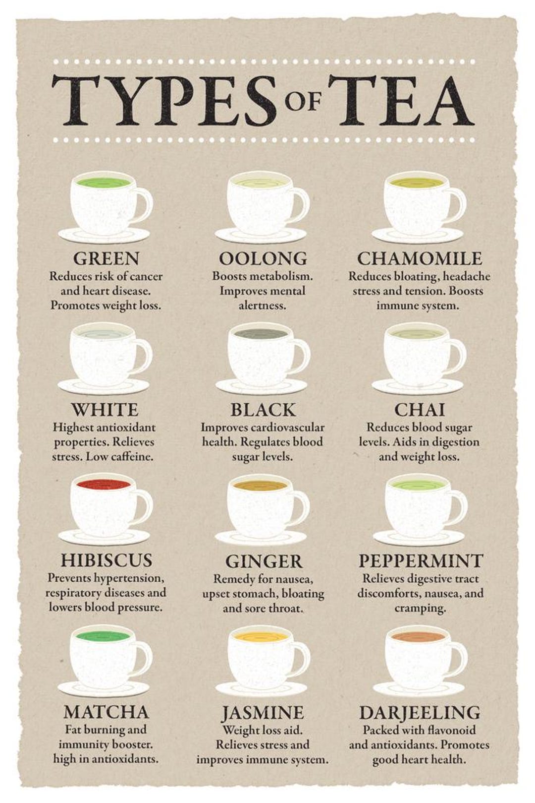 Types of Tea and Their Benefits Chart Varieties Beige Poster 12x18 - Etsy
