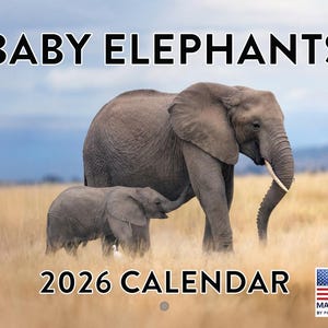May include: A 2026 calendar featuring a photograph of two elephants in a grassy field. The larger elephant stands next to a smaller elephant. The words "BABY ELEPHANTS" and "2026 CALENDAR" are printed on the calendar.