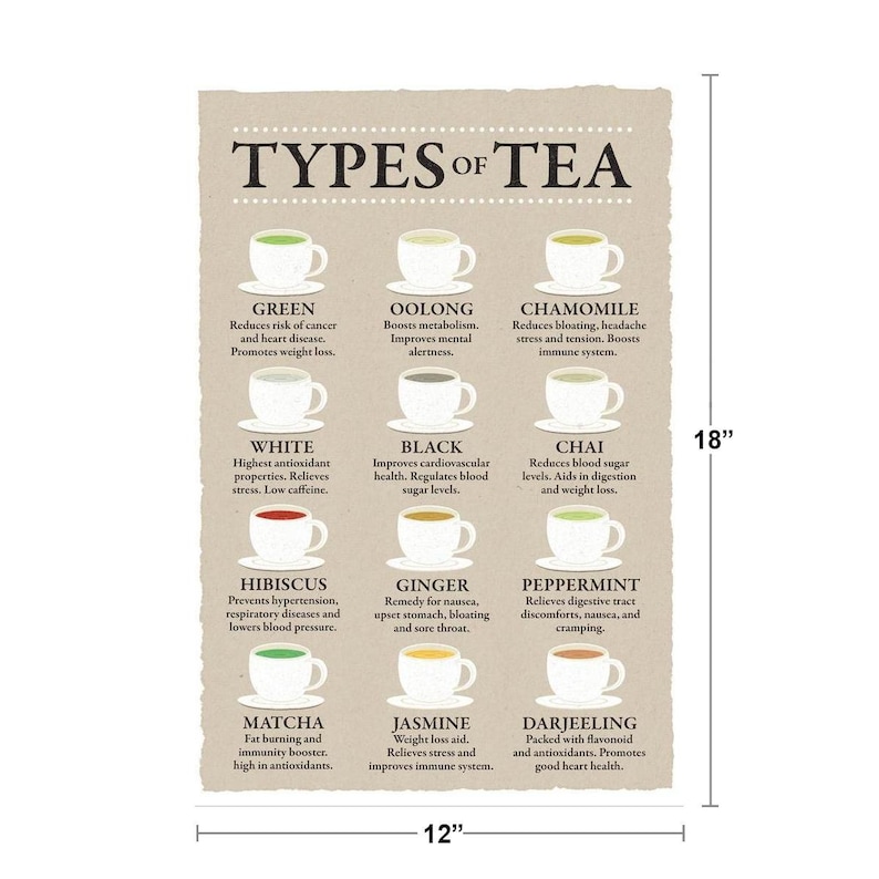 Types of Tea and Their Benefits Chart Varieties Beige Poster 12x18 - Etsy