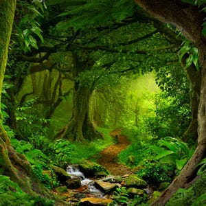 May include: A lush, vibrant jungle scene with a winding path leading into the distance. Towering trees with thick, textured trunks frame the view, while dense green foliage and a small stream create a sense of depth and tranquility. The image evokes a sense of exploration.