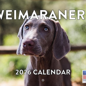 May include: A 2026 calendar featuring a Weimaraner dog with striking blue eyes and a gray coat. The word "WEIMARANERS" is at the top, and "2026 CALENDAR" is at the bottom. The image includes a small American flag and the text "MADE IN USA".