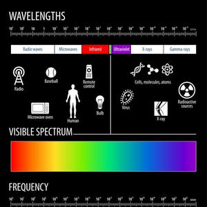 Electromagnetic Spectrum Chart Reference Science Physics Visible Light Wavelength Educational Classroom Cool Wall Art Print Poster