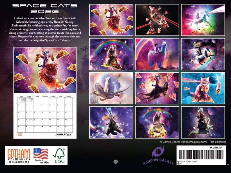 Space Cats Calendar 2026 Monthly Wall Calender 12 Month | American Made ...