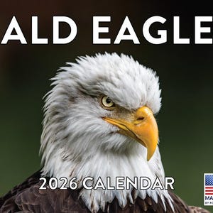 May include: A 2026 calendar featuring a close-up of a bald eagle's head. The eagle has white feathers on its head and a yellow beak. The text "BALD EAGLES" is at the top, and "2026 CALENDAR" is at the bottom.