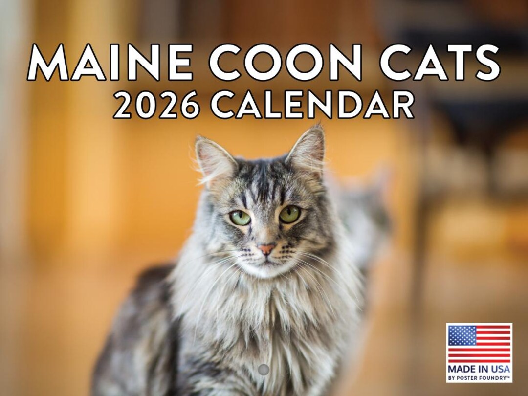 Maine Coon Cat Calendar 2026 Monthly Wall Calender 12 Month American