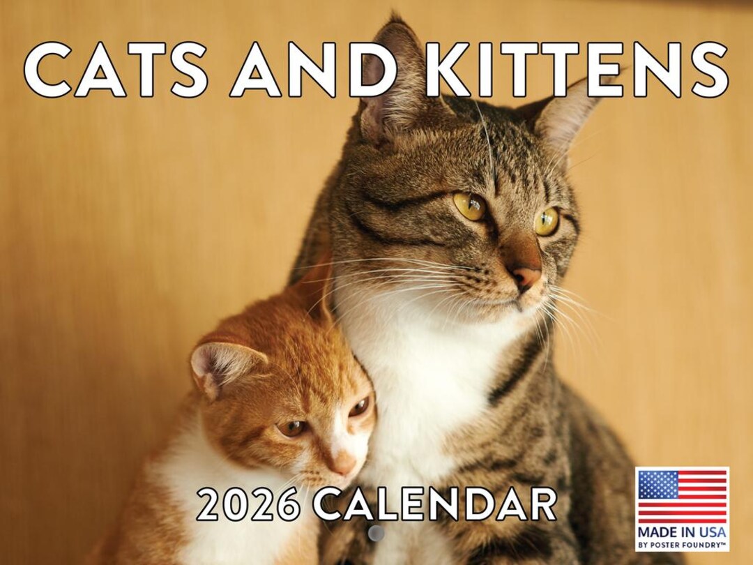 Cats and Kittens Calendar 2026 Monthly Wall Calender 12 Month ...