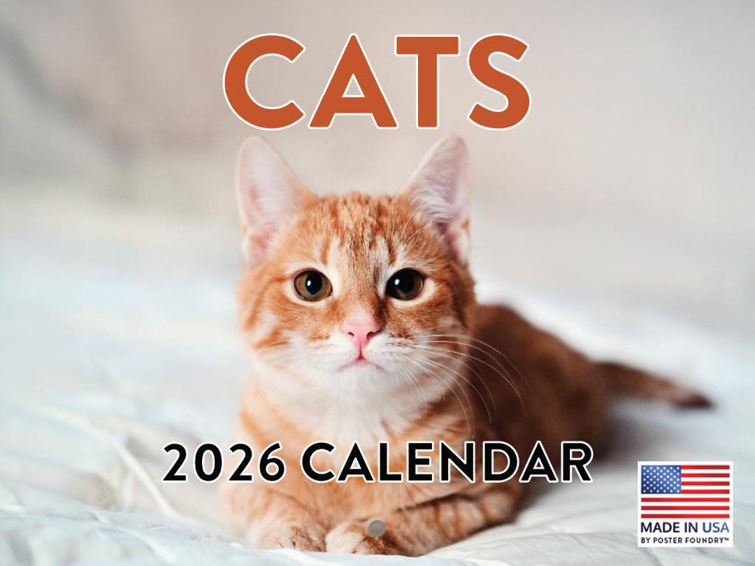 Cat Calendar 2026 Monthly Wall Calender 12 Month | American Made in the ...
