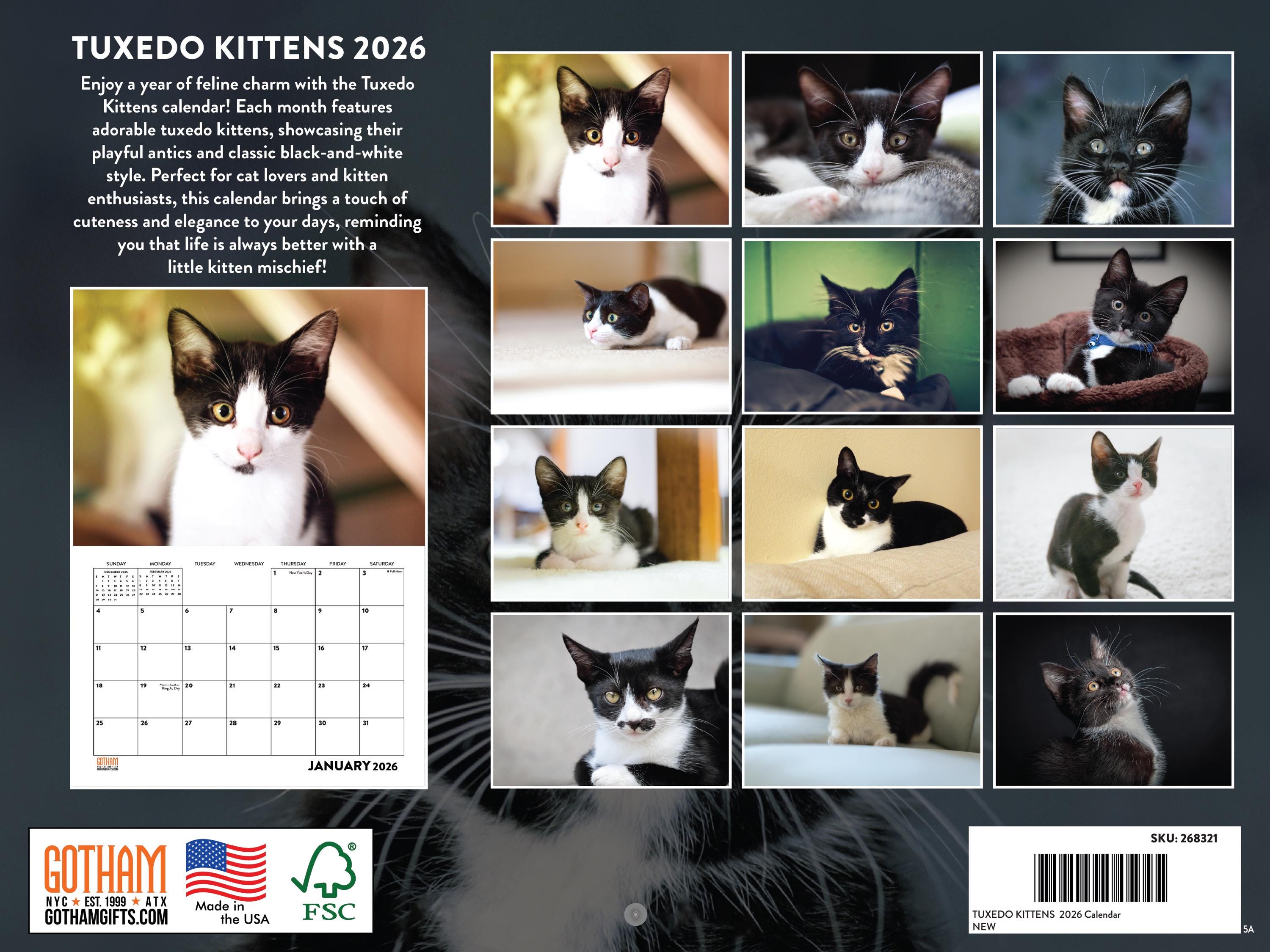 Tuxedo Kitten Calendar 2026 Monthly Wall Calender 12 Month | American ...