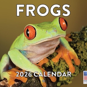 May include: A 2026 calendar featuring a vibrant green tree frog with bright orange feet and large red eyes, perched on a mossy branch. The word "FROGS" is at the top.