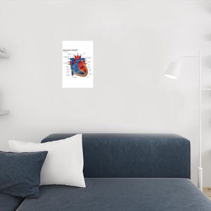 Human Heart Diagram Anatomy Diagram Educational Chart Cool Wall Art ...