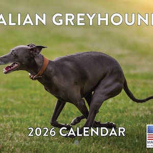 2026 Italian Greyhound Calendar - Etsy