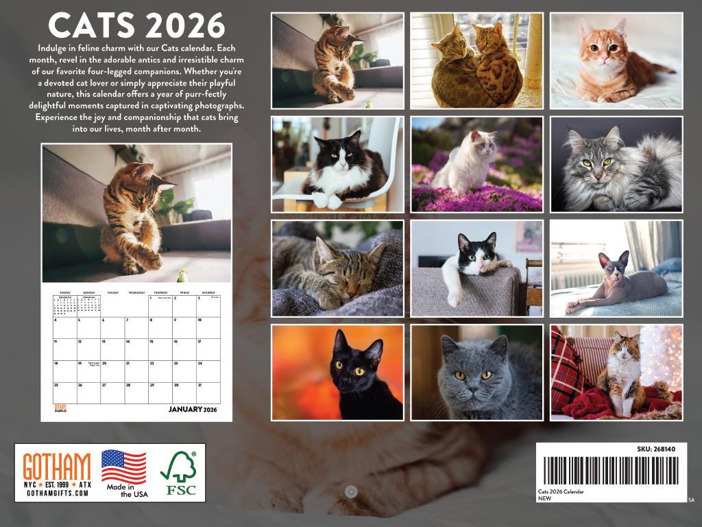 Cat Calendar 2026 Monthly Wall Calender 12 Month | American Made in the ...