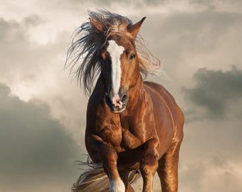 Póster fotográfico de caballo de tiro castaño salvaje corriendo (24 x 36 pulgadas)