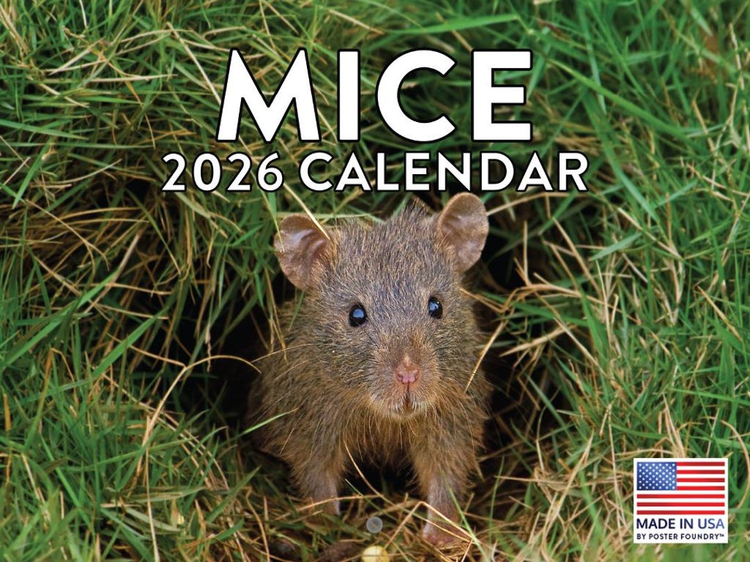 Mouse Calendar 2026 Mice Monthly Wall Calender 12 Month American Made Il A4ga 