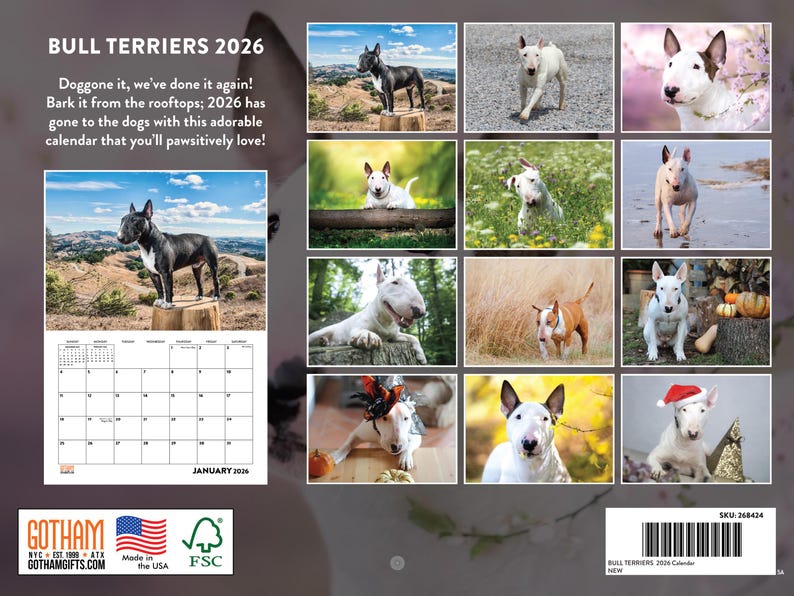 Bull Terrier Calendar 2026 Monthly Wall Calender 12 Month | American