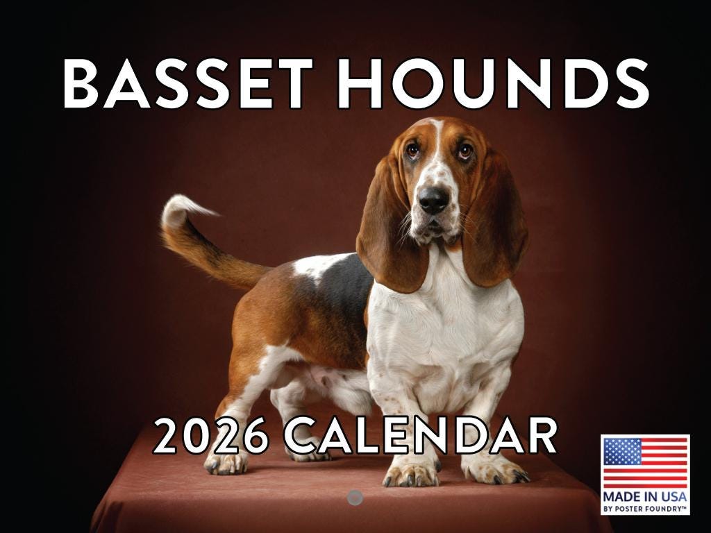 39;Just Basset Hounds 2024 12 X 12 Wall Calendar' - 'Bücher'