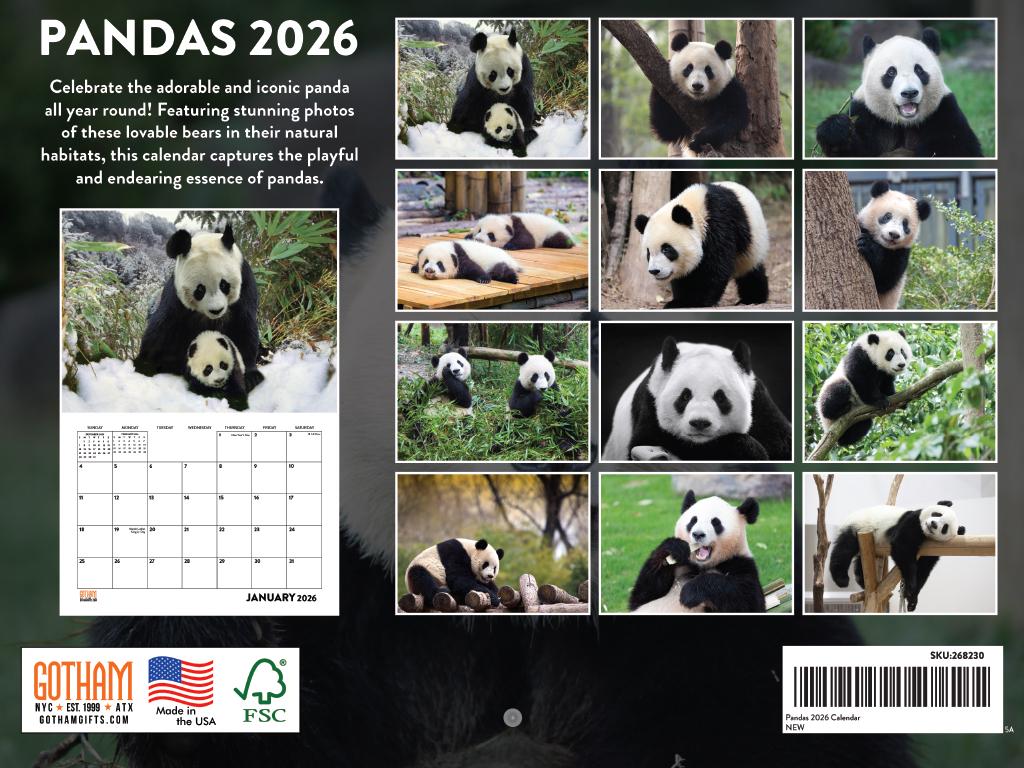 Panda Calendar 2026 Monthly Wall Calender 12 Month | American Made in ...