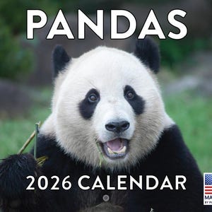 Panda Calendar 2026 Monthly Wall Calender 12 Month | American Made in ...