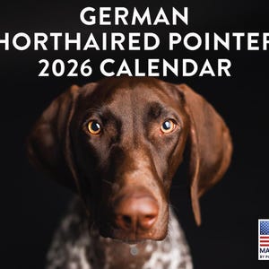 Calendario 2026 del Braco Alemán de Pelo Corto / Calendario mensual de pared del Braco Alemán de Pelo Corto imagen 1