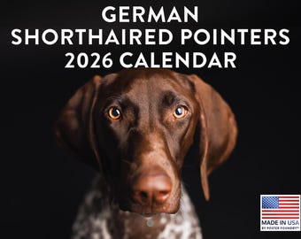 German Shorthaired Pointer Calendar 2026 | GSP Monthly Wall Calendar