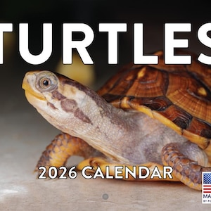 May include: A 2026 calendar featuring a close-up of a turtle. The turtle has a brown and yellow shell, with a tan head and legs. The word "TURTLES" is at the top, and "2026 CALENDAR" is at the bottom. The American flag is in the bottom right corner.