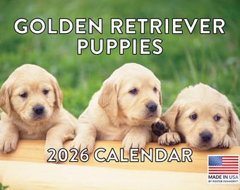 Golden Retriever Puppy Calendar 2026 Monthly Wall Calender 12 Month | American Made In The USA