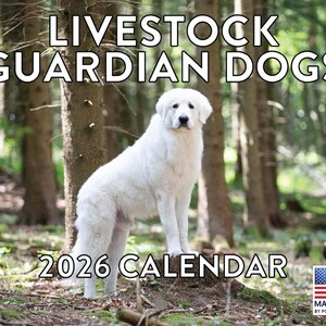 May include: A white Livestock Guardian Dogs 2026 calendar featuring a large white dog standing in a forest. The calendar has the American flag in the bottom right corner and the words "Made in USA" below it.