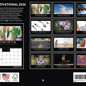 Demotivational Calendar 2026 Demotivation Monthly Wall Calender 12 Month | American Made In The USA immagine 2
